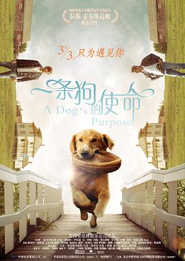 精品国产91久久久久久久a