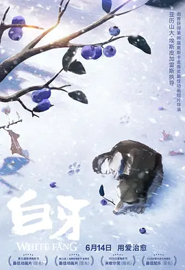 欧美丝袜丝交足nylons图片
