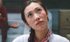 三节片