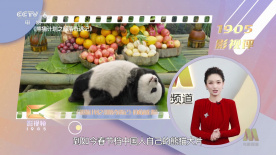窝窝午夜看片七次郎青草视频